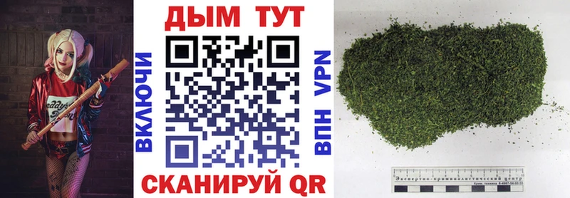 Каннабис семена  Купить закладки  Бузулук 